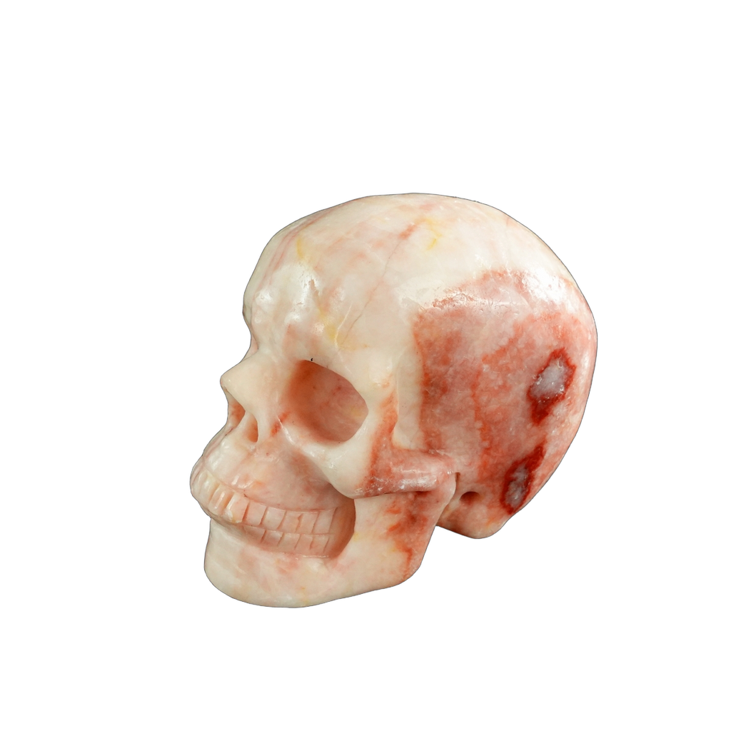 3.0" Zebra Jasper Crystal Skull Carving - Unique Piece #ZS10