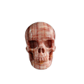 3.0" Zebra Jasper Crystal Skull Carving - Unique Piece #ZS11