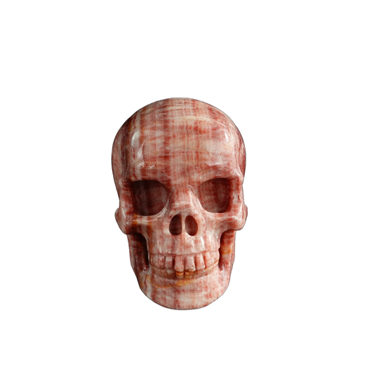 3.0" Zebra Jasper Crystal Skull Carving - Unique Piece #ZS11