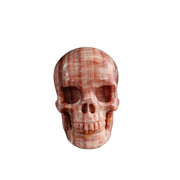3.0" Zebra Jasper Crystal Skull Carving - Unique Piece #ZS11