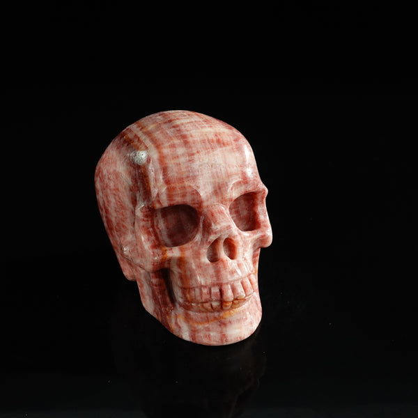 3.0" Zebra Jasper Crystal Skull Carving - Unique Piece #ZS11 - alternate view