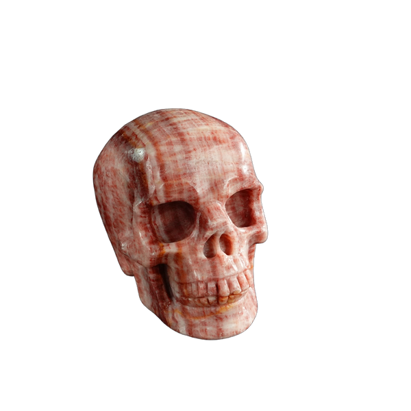 3.0" Zebra Jasper Crystal Skull Carving - Unique Piece #ZS11 - alternate view