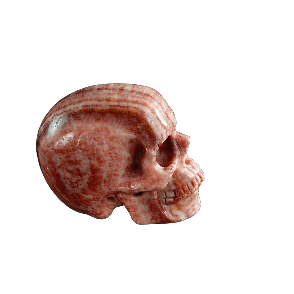 3.0" Zebra Jasper Crystal Skull Carving - Unique Piece #ZS11