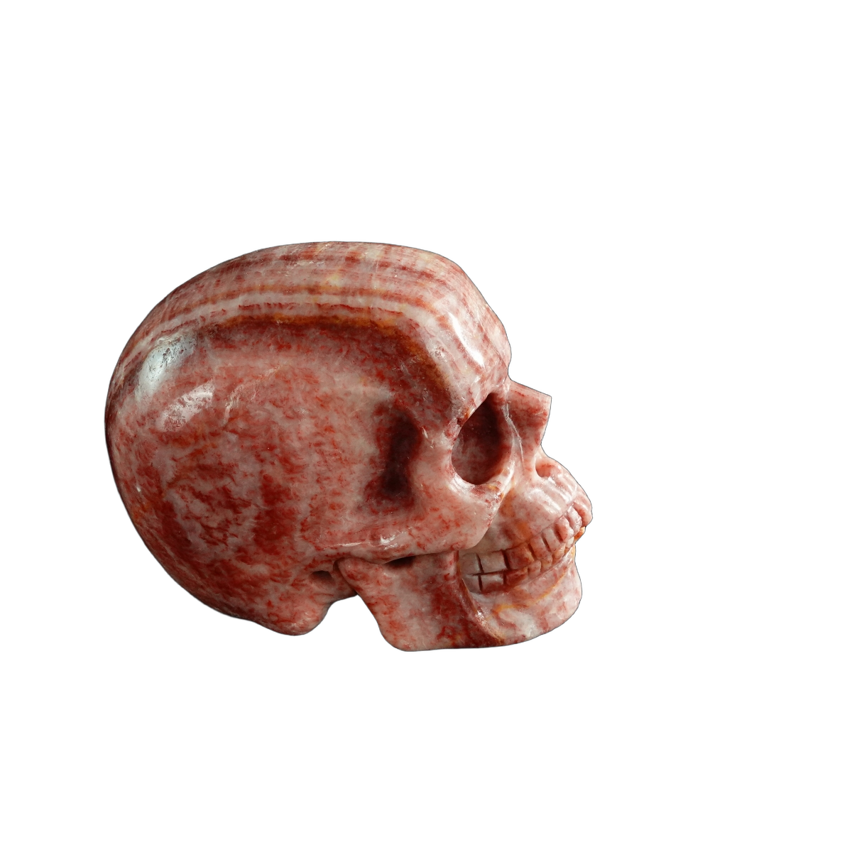 3.0" Zebra Jasper Crystal Skull Carving - Unique Piece #ZS11