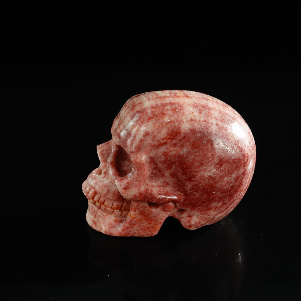 3.0" Zebra Jasper Crystal Skull Carving - Unique Piece #ZS11