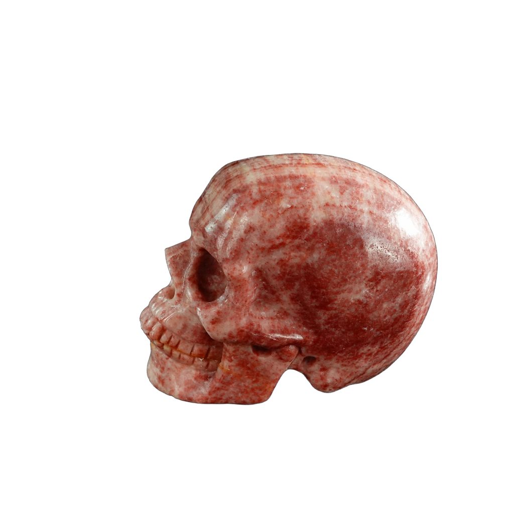 3.0" Zebra Jasper Crystal Skull Carving - Unique Piece #ZS11