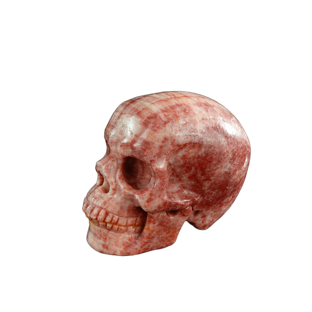 3.0" Zebra Jasper Crystal Skull Carving - Unique Piece #ZS11