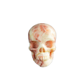3.0" Zebra Jasper Crystal Skull Carving - Unique Piece #ZS12