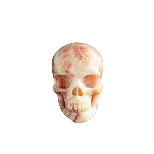3.0" Zebra Jasper Crystal Skull Carving - Unique Piece #ZS12