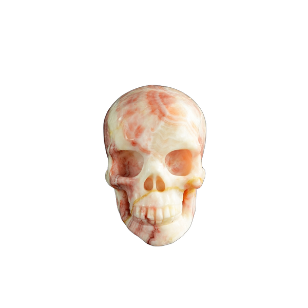3.0" Zebra Jasper Crystal Skull Carving - Unique Piece #ZS12