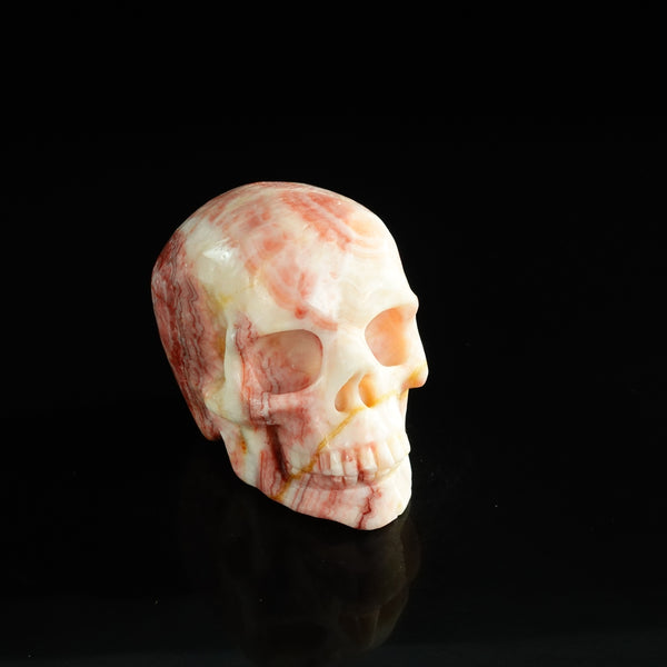 3.0" Zebra Jasper Crystal Skull Carving - Unique Piece #ZS12 - alternate view