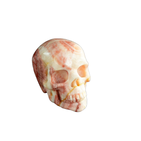 3.0" Zebra Jasper Crystal Skull Carving - Unique Piece #ZS12 - alternate view