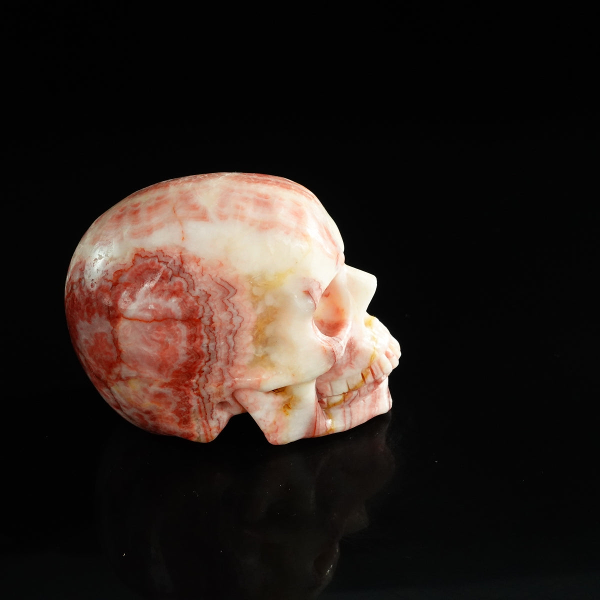 3.0" Zebra Jasper Crystal Skull Carving - Unique Piece #ZS12
