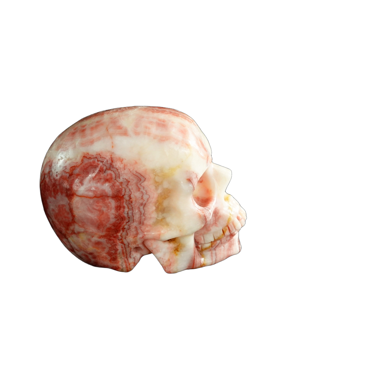 3.0" Zebra Jasper Crystal Skull Carving - Unique Piece #ZS12