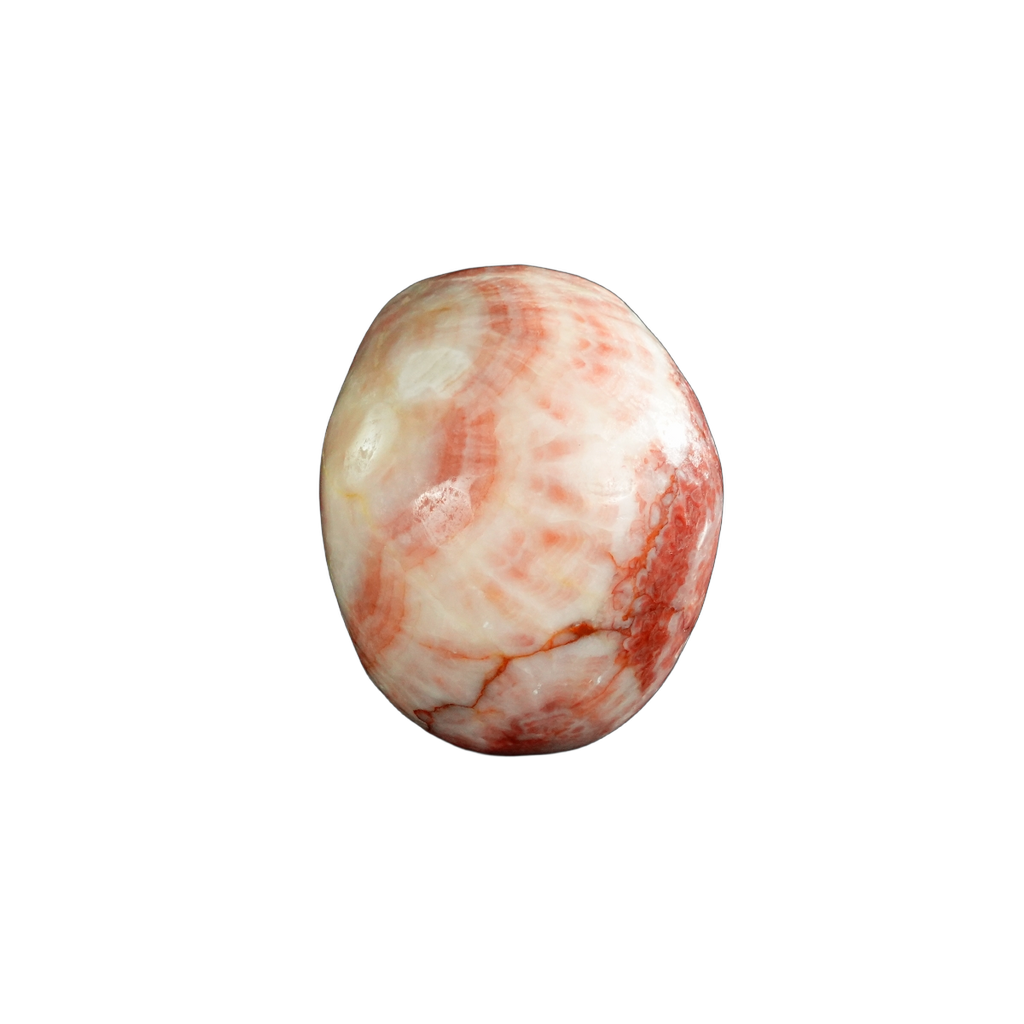3.0" Zebra Jasper Crystal Skull Carving - Unique Piece #ZS12