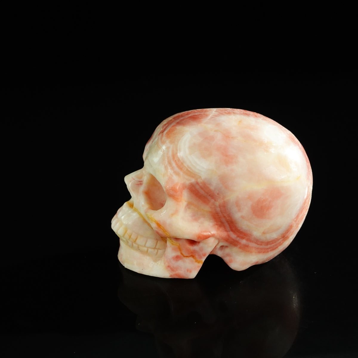 3.0" Zebra Jasper Crystal Skull Carving - Unique Piece #ZS12