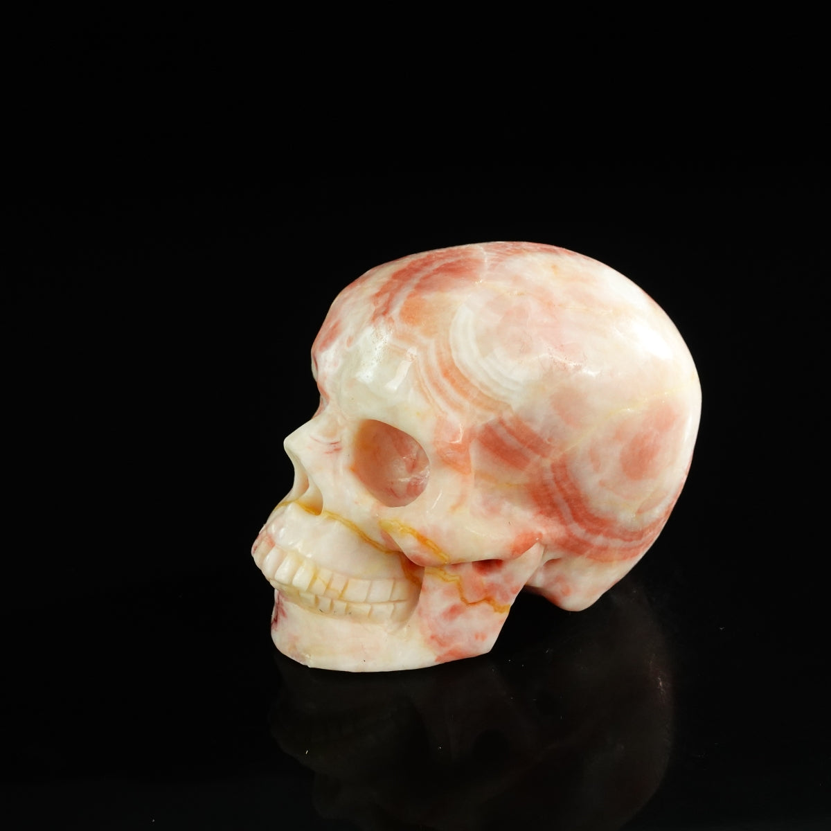 3.0" Zebra Jasper Crystal Skull Carving - Unique Piece #ZS12