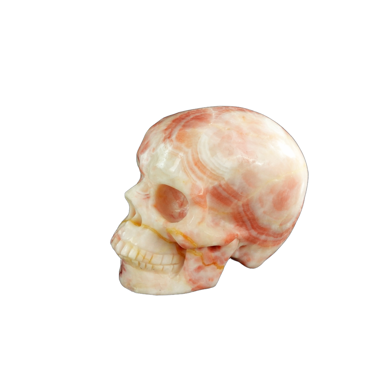 3.0" Zebra Jasper Crystal Skull Carving - Unique Piece #ZS12
