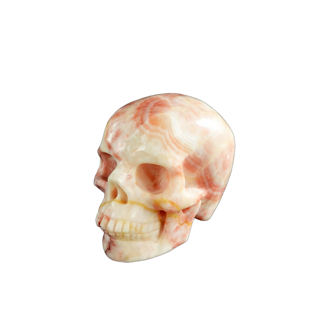 3.0" Zebra Jasper Crystal Skull Carving - Unique Piece #ZS12