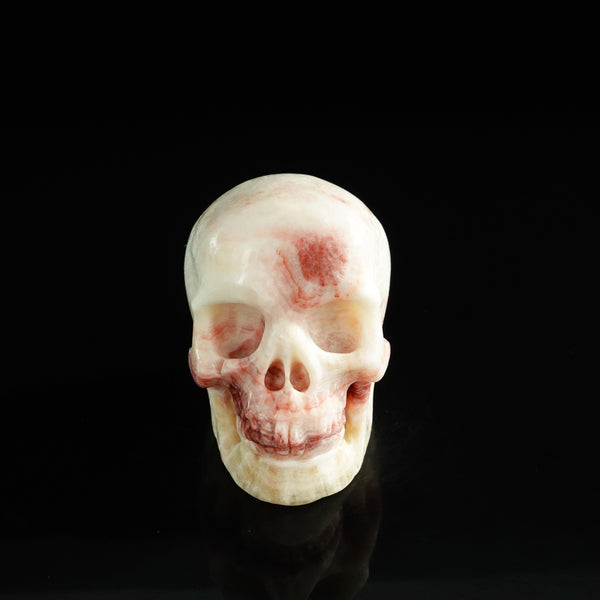 3.0" Zebra Jasper Crystal Skull Carving - Unique Piece #ZS13