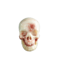 3.0" Zebra Jasper Crystal Skull Carving - Unique Piece #ZS13