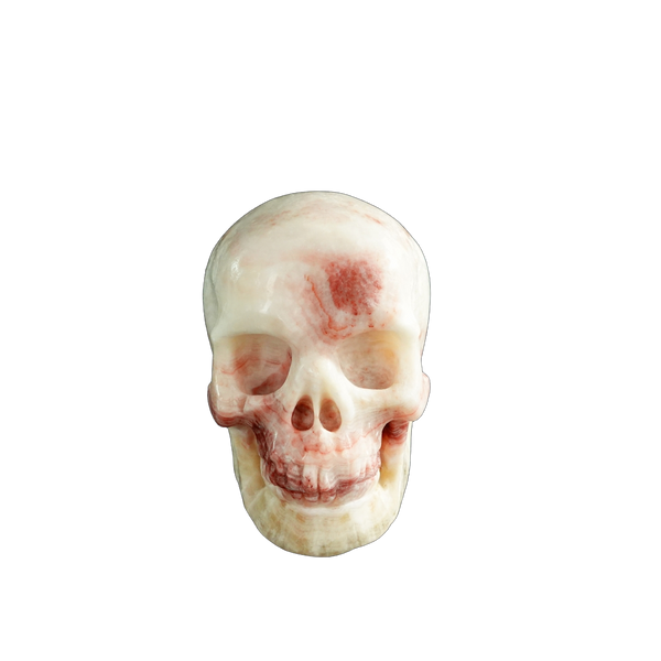 3.0" Zebra Jasper Crystal Skull Carving - Unique Piece #ZS13