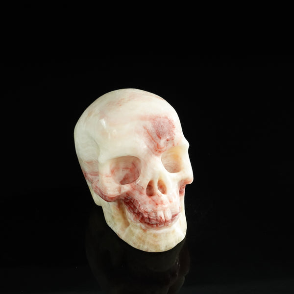 3.0" Zebra Jasper Crystal Skull Carving - Unique Piece #ZS13 - alternate view
