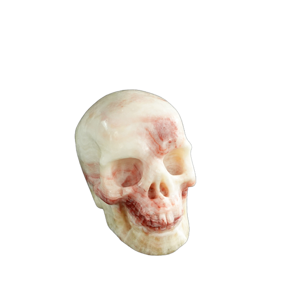 3.0" Zebra Jasper Crystal Skull Carving - Unique Piece #ZS13 - alternate view