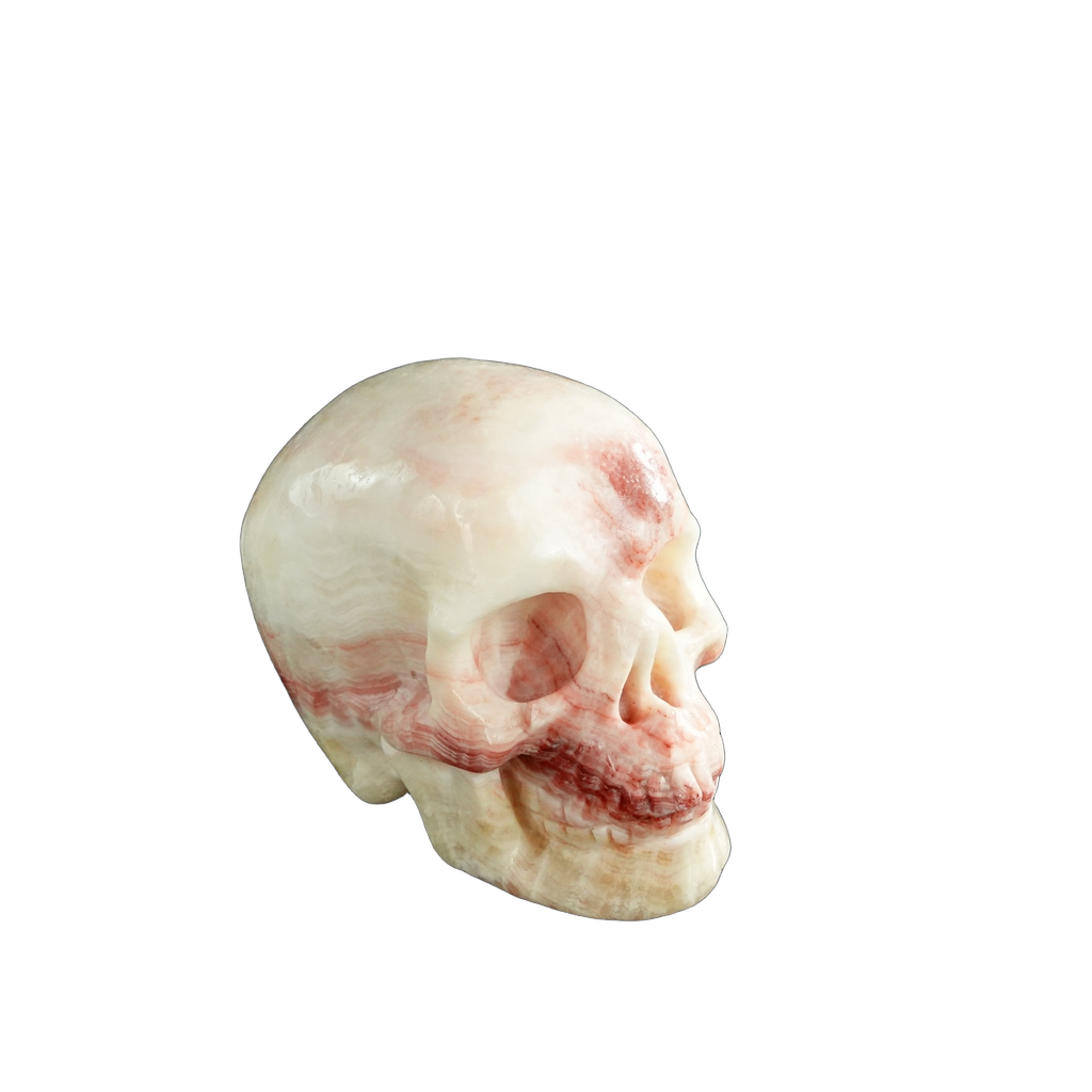 3.0" Zebra Jasper Crystal Skull Carving - Unique Piece #ZS13