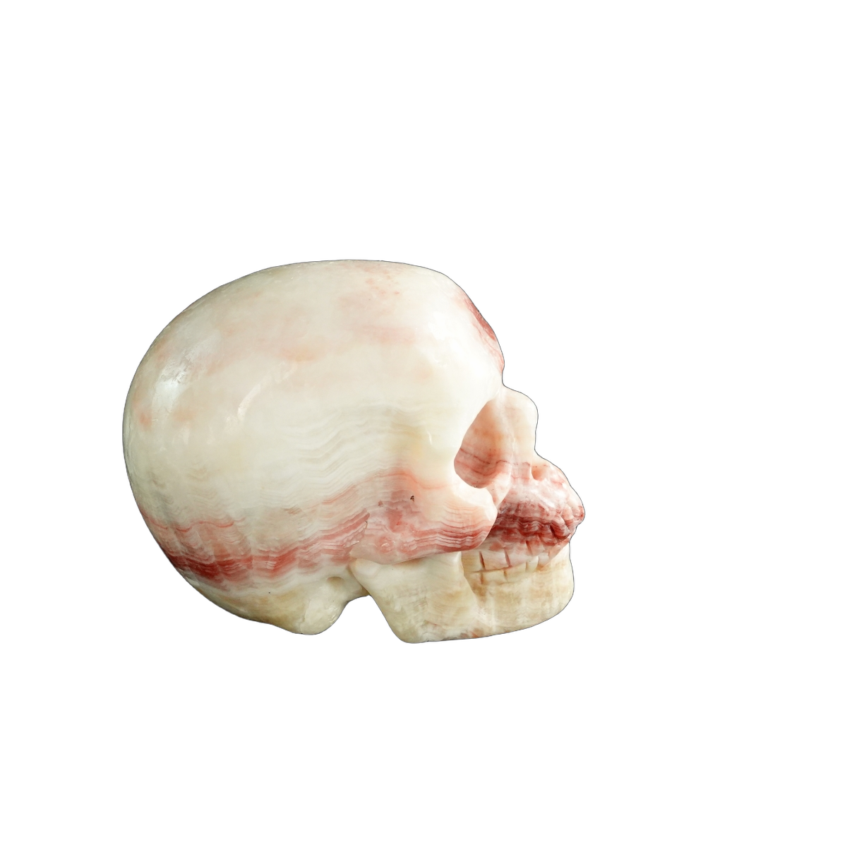 3.0" Zebra Jasper Crystal Skull Carving - Unique Piece #ZS13