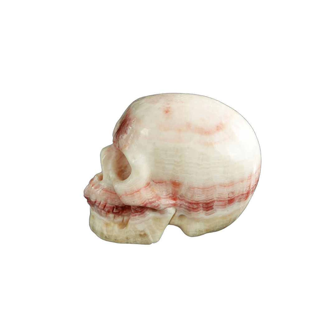 3.0" Zebra Jasper Crystal Skull Carving - Unique Piece #ZS13