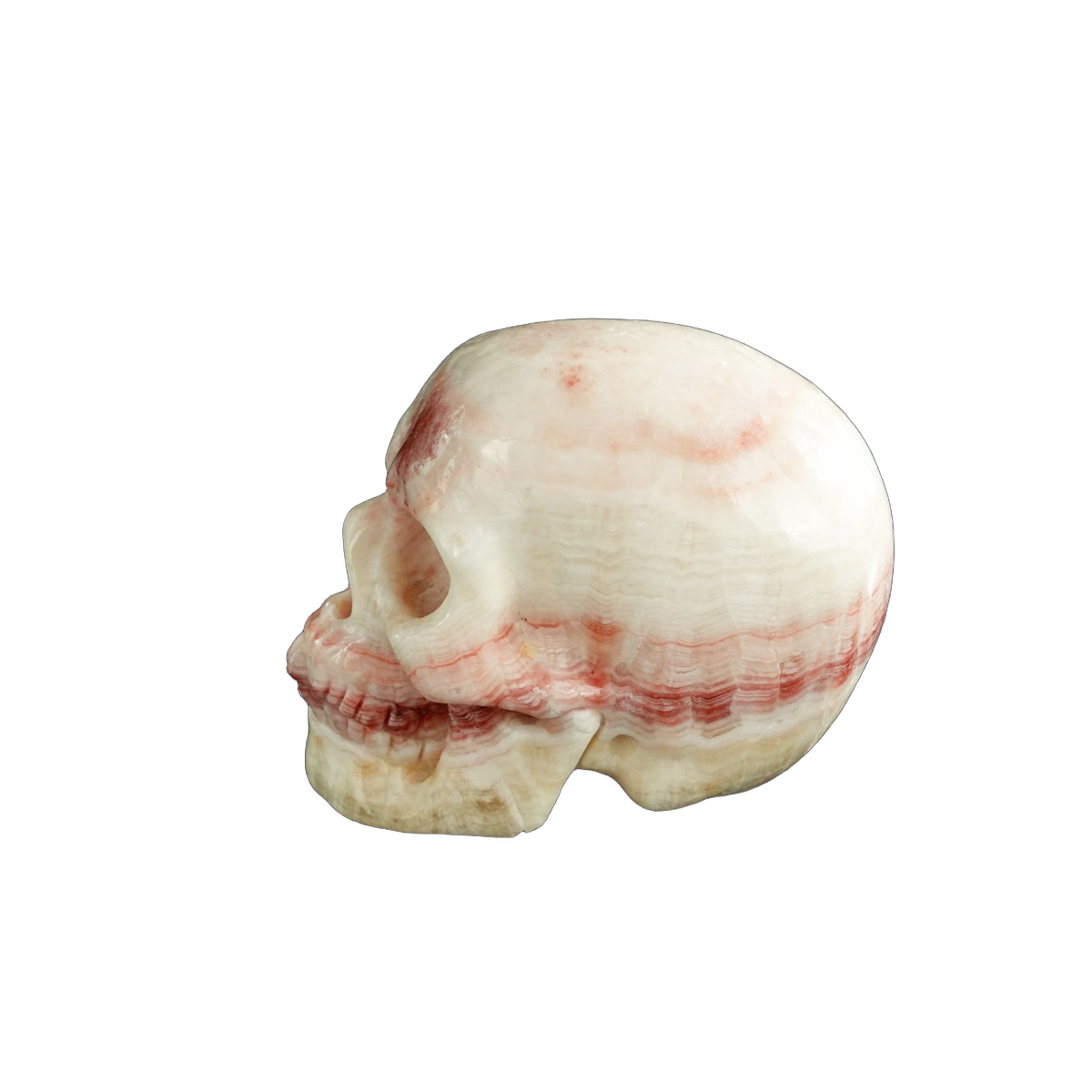3.0" Zebra Jasper Crystal Skull Carving - Unique Piece #ZS13