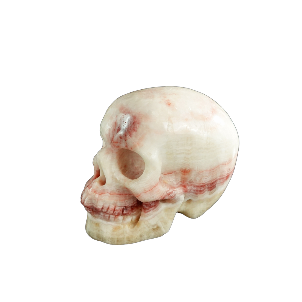 3.0" Zebra Jasper Crystal Skull Carving - Unique Piece #ZS13