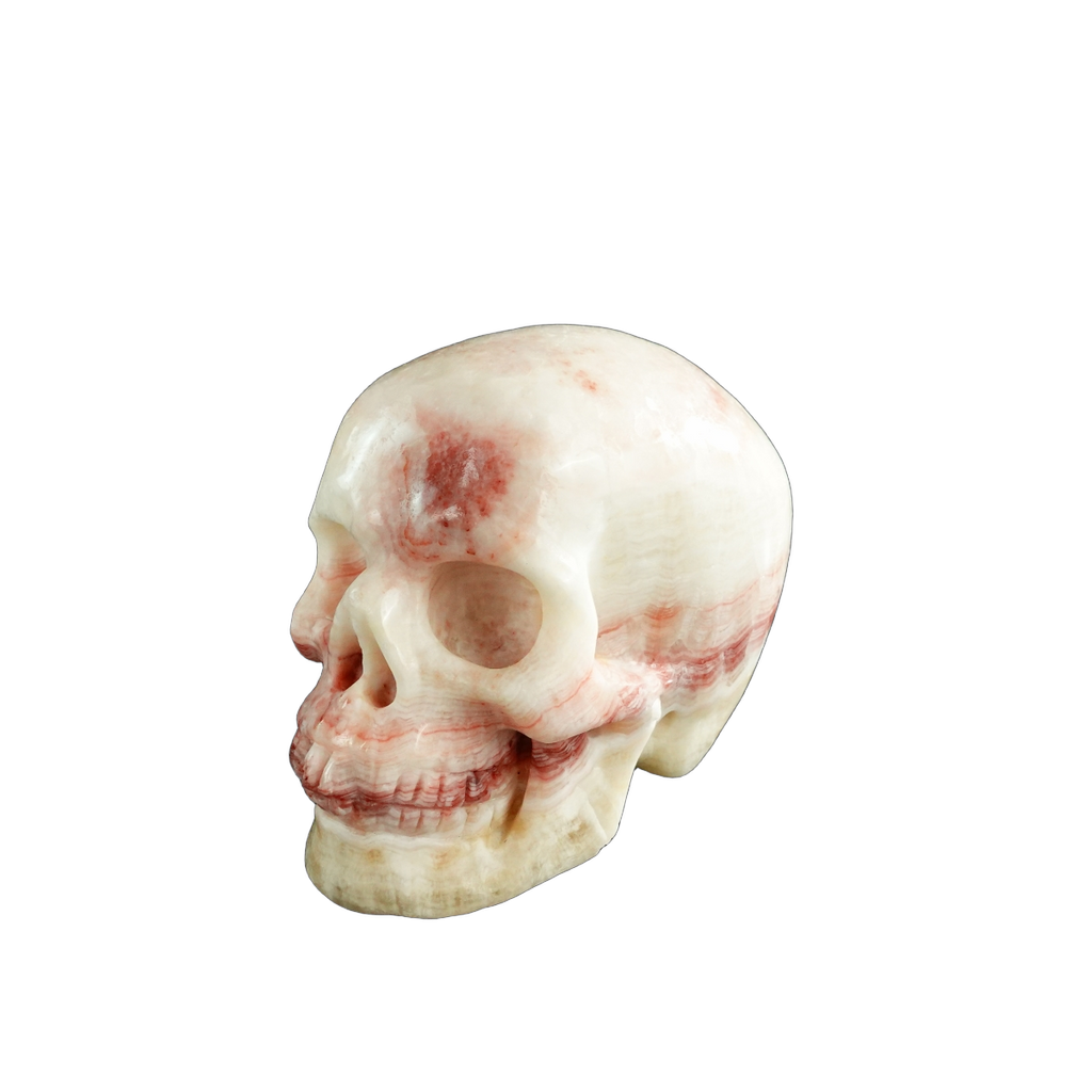 3.0" Zebra Jasper Crystal Skull Carving - Unique Piece #ZS13