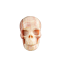 3.0" Zebra Jasper Crystal Skull Carving - Unique Piece #ZS14