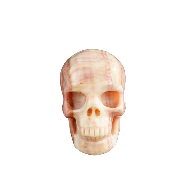 3.0" Zebra Jasper Crystal Skull Carving - Unique Piece #ZS14