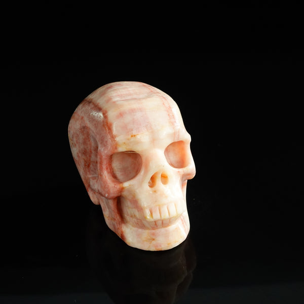 3.0" Zebra Jasper Crystal Skull Carving - Unique Piece #ZS14 - alternate view