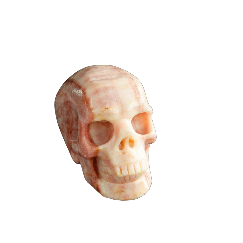 3.0" Zebra Jasper Crystal Skull Carving - Unique Piece #ZS14
