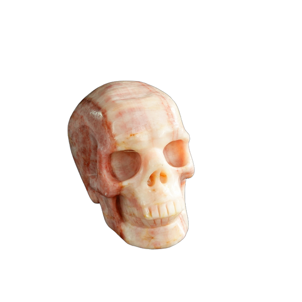 3.0" Zebra Jasper Crystal Skull Carving - Unique Piece #ZS14 - alternate view