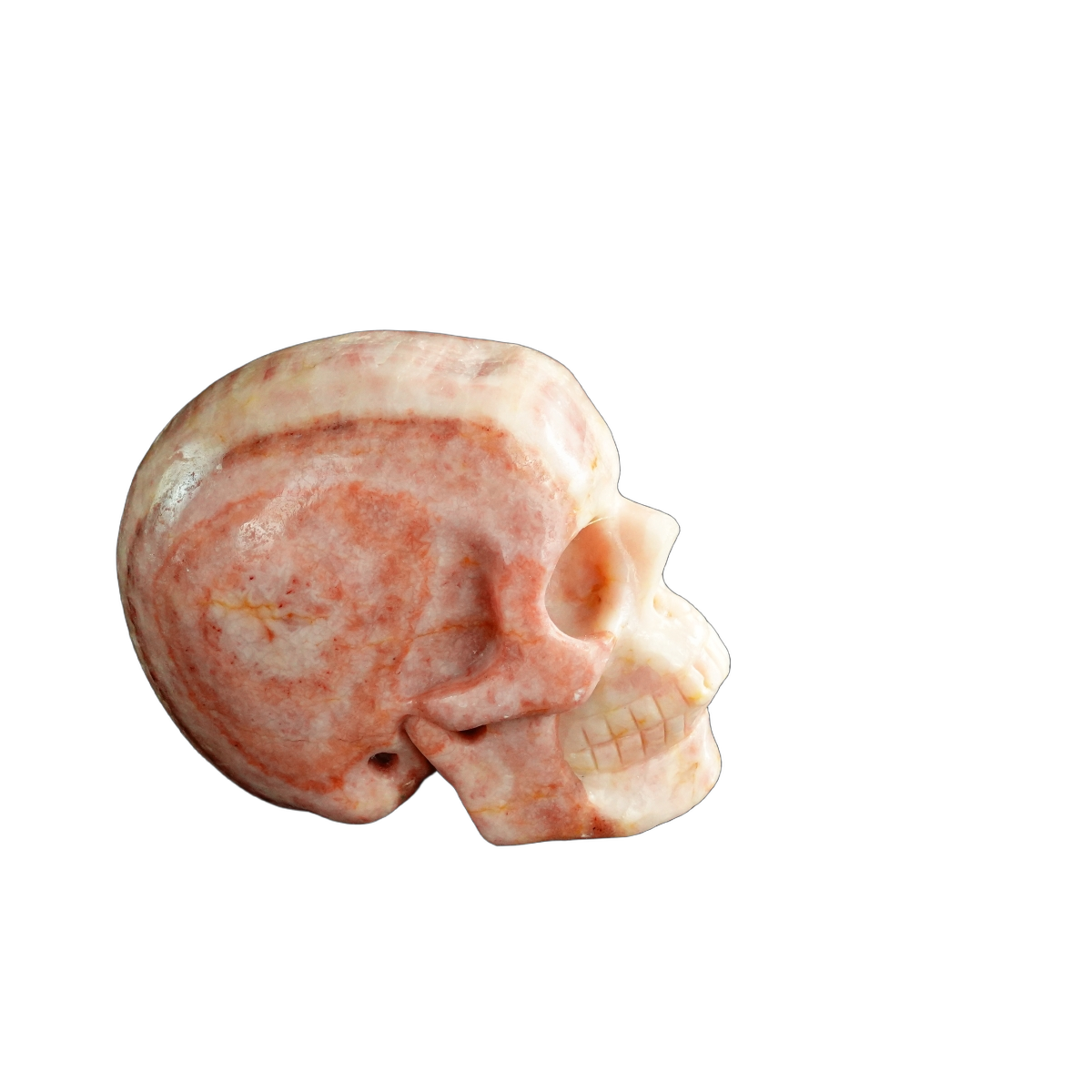3.0" Zebra Jasper Crystal Skull Carving - Unique Piece #ZS14