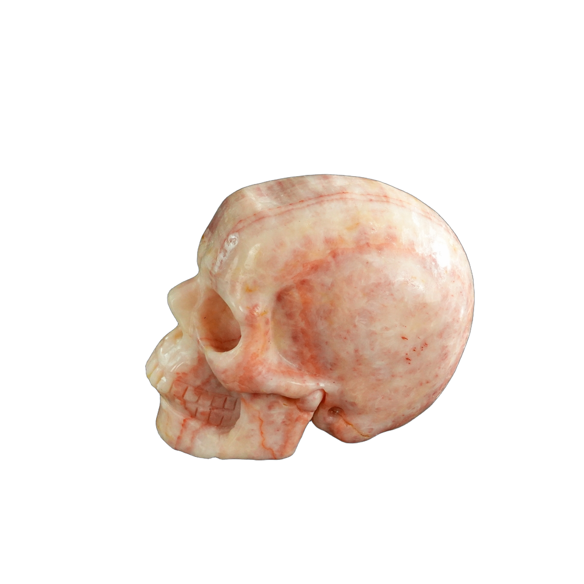 3.0" Zebra Jasper Crystal Skull Carving - Unique Piece #ZS14