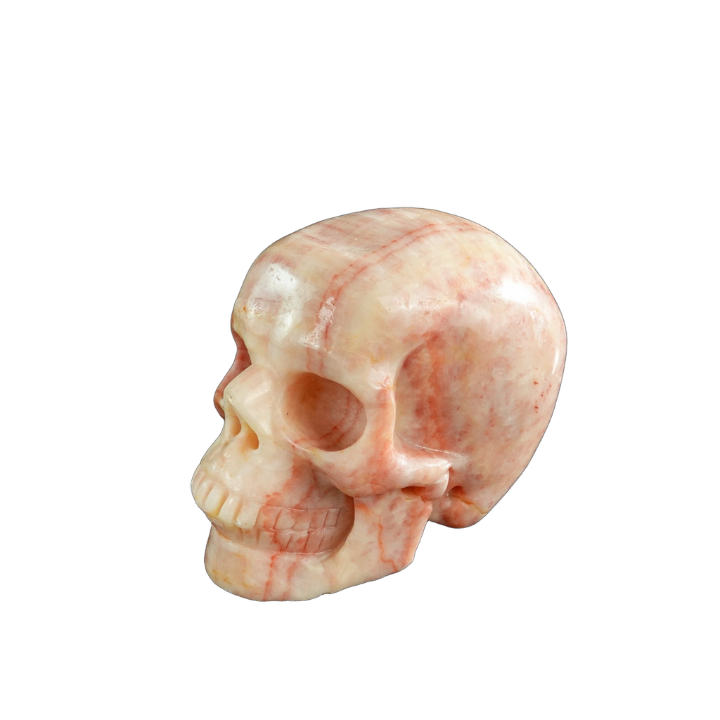 3.0" Zebra Jasper Crystal Skull Carving - Unique Piece #ZS14