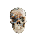 4.5" Blue Flower Agate Crystal Skull Carving - Unique Piece #BF01