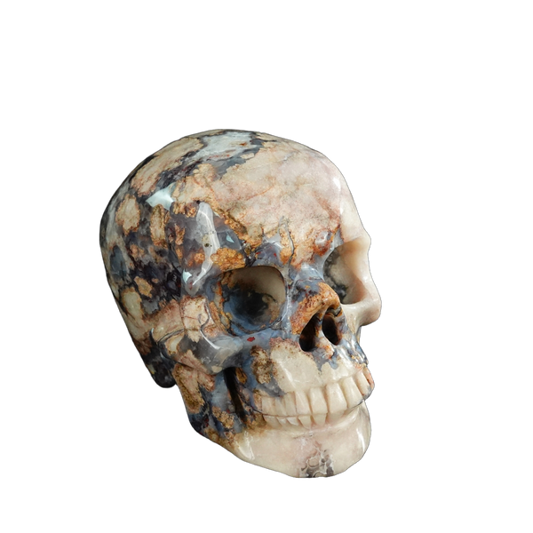 4.5" Blue Flower Agate Crystal Skull Carving - Unique Piece #BF01 - alternate view
