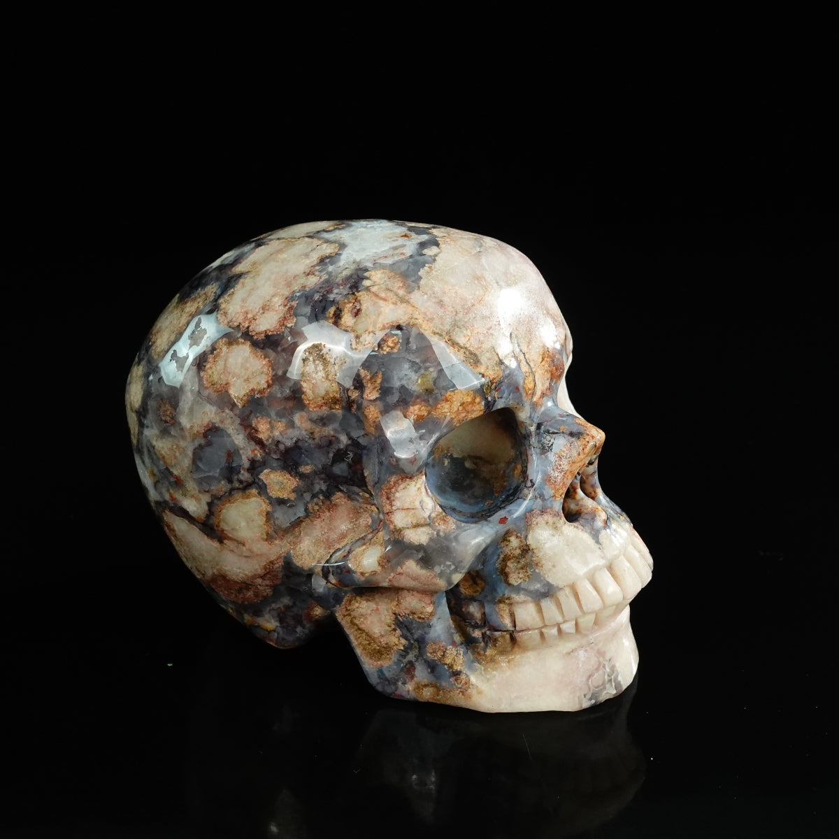 4.5" Blue Flower Agate Crystal Skull Carving - Unique Piece #BF01