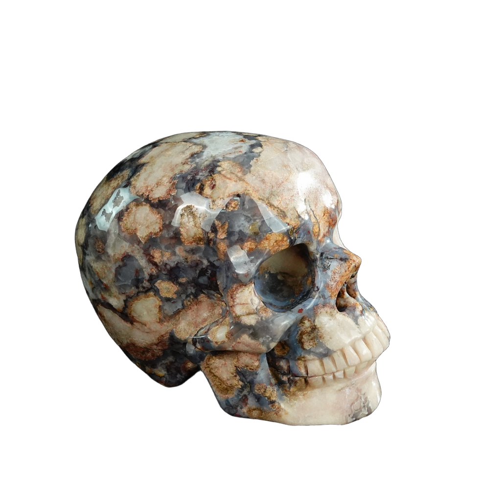 4.5" Blue Flower Agate Crystal Skull Carving - Unique Piece #BF01