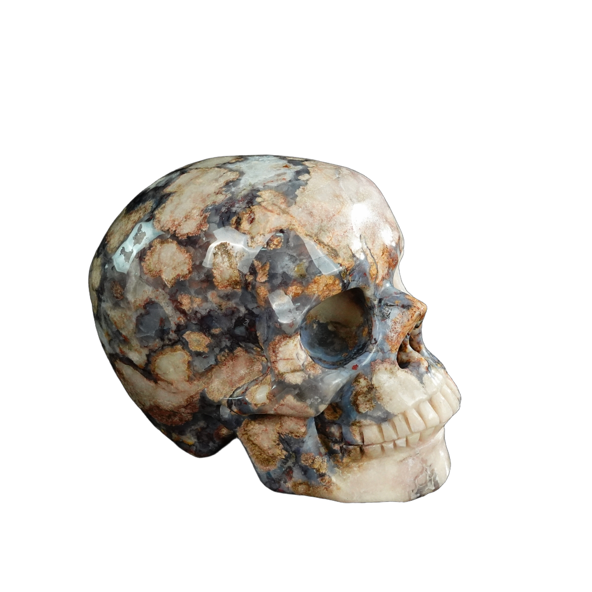 4.5" Blue Flower Agate Crystal Skull Carving - Unique Piece #BF01