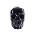 4.5" Black Obsidian Crystal Skull Carving - Hand Carved Decor