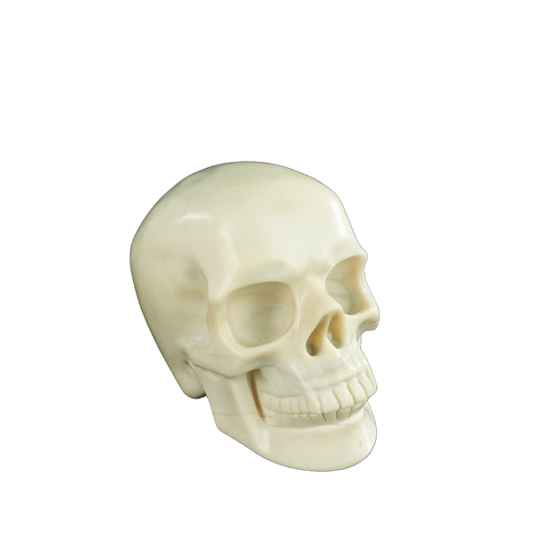 4.5" Ivory Jade Crystal Skull Carving - Unique Piece #IJ01 - alternate view