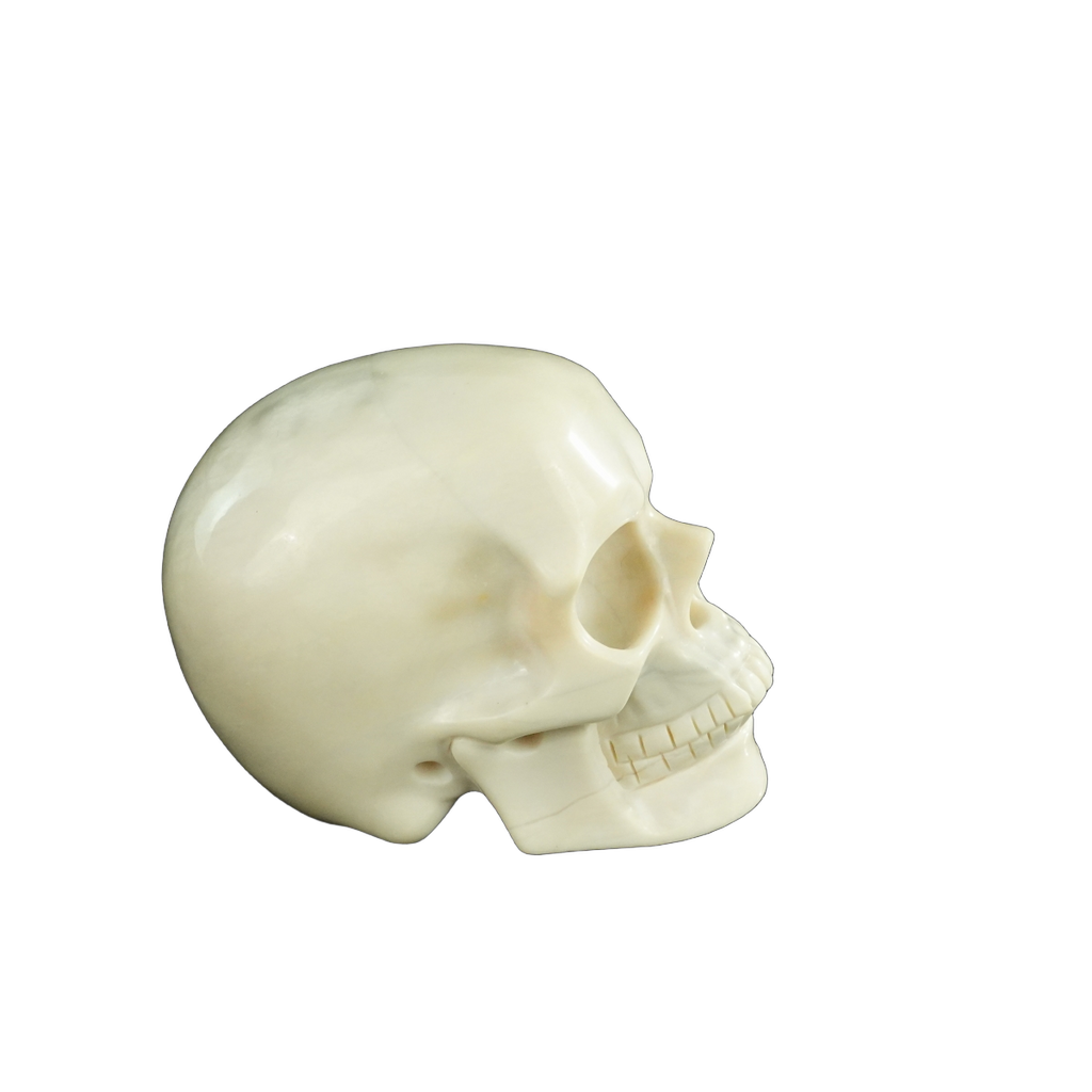 4.5" Ivory Jade Crystal Skull Carving - Unique Piece #IJ01
